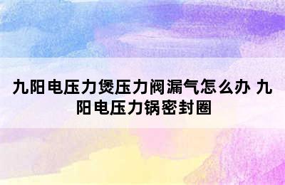 九阳电压力煲压力阀漏气怎么办 九阳电压力锅密封圈